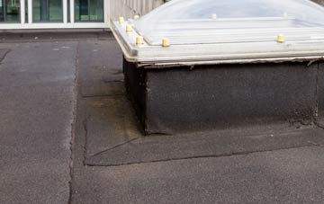 disadvantages of Warlaby flat roofs